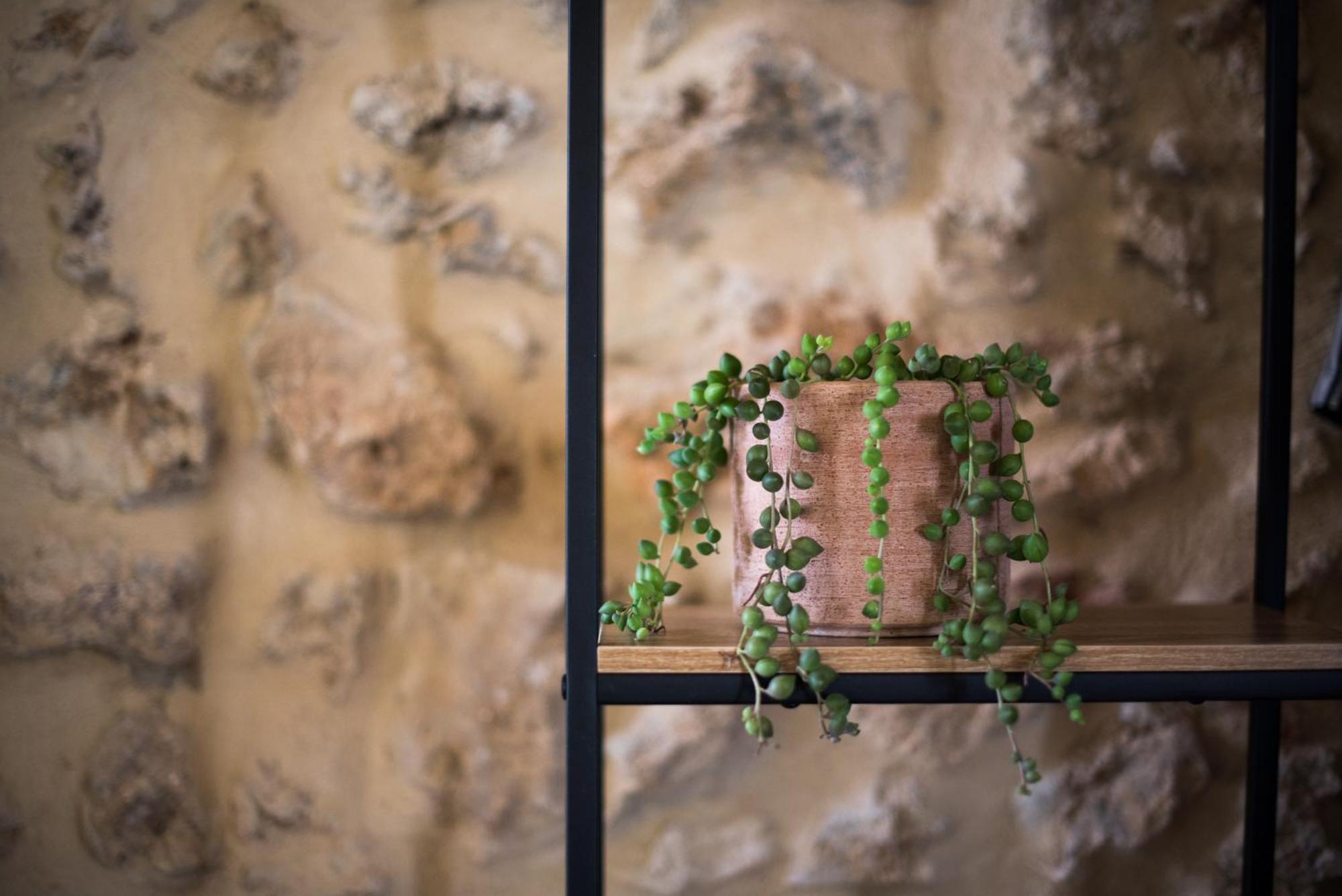 Agriturismo Casalino18 Tognazza Kültér fotó